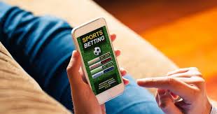 Everything You Need to Know About Ardi Bet