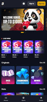 Do Crypto Casinos Report To Regulatory Authorities